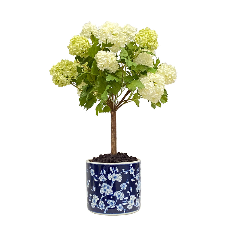 Snowball Artificial Plant in Plum Blossom Pot