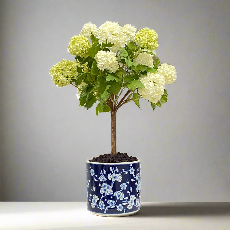 Snowball Artificial Plant in Plum Blossom Pot