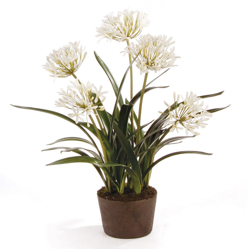 Agapanthus Drop - In Floral Arrangement 29" - BlueJay Avenue