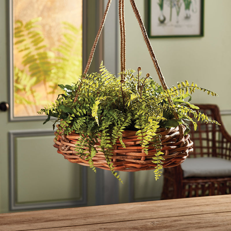 Artificial Boston Fern Rustic Drop - In 12" - BlueJay Avenue