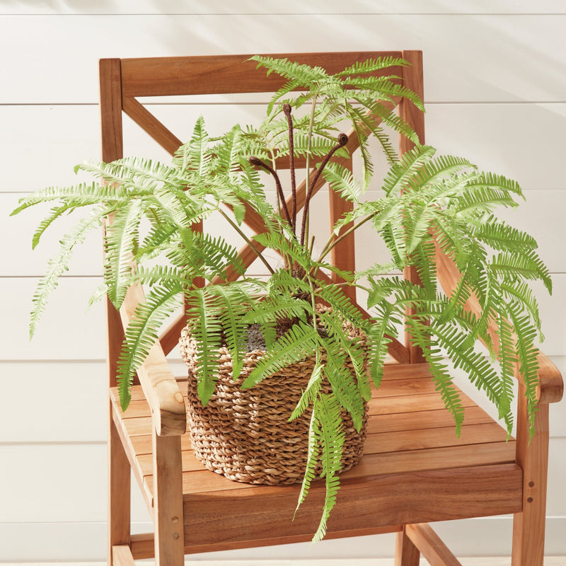 Artificial Forest Fern Plant Drop - In 29.5" - BlueJay Avenue