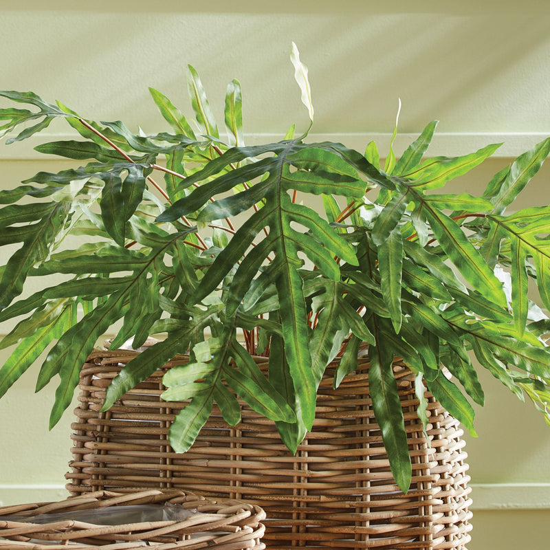 Artificial Hare'S Foot Fern Potted 36" - BlueJay Avenue