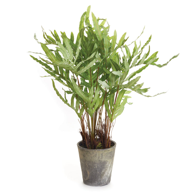 Artificial Hare'S Foot Fern Potted 36" - BlueJay Avenue