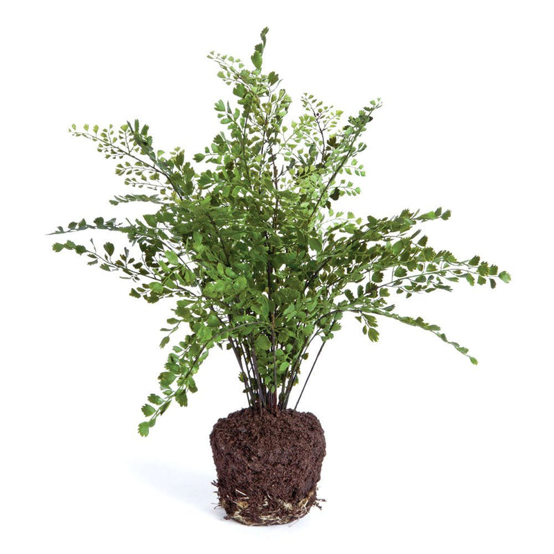 Artificial Maidenhair Drop - In 18" - BlueJay Avenue