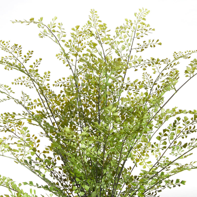 Artificial Maidenhair Drop - In 30" - BlueJay Avenue