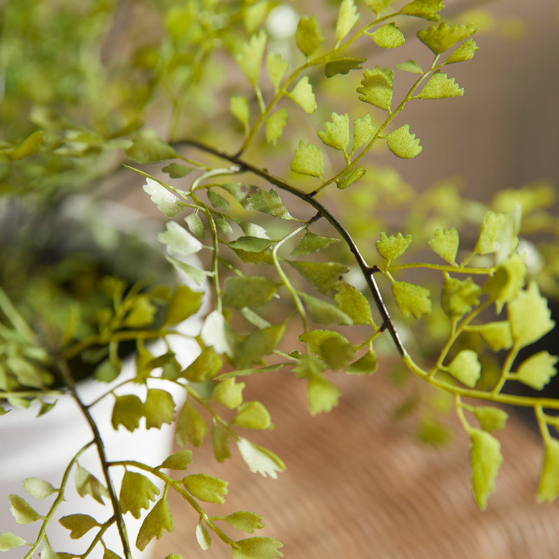 Artificial Maidenhair Drop - In 30" - BlueJay Avenue