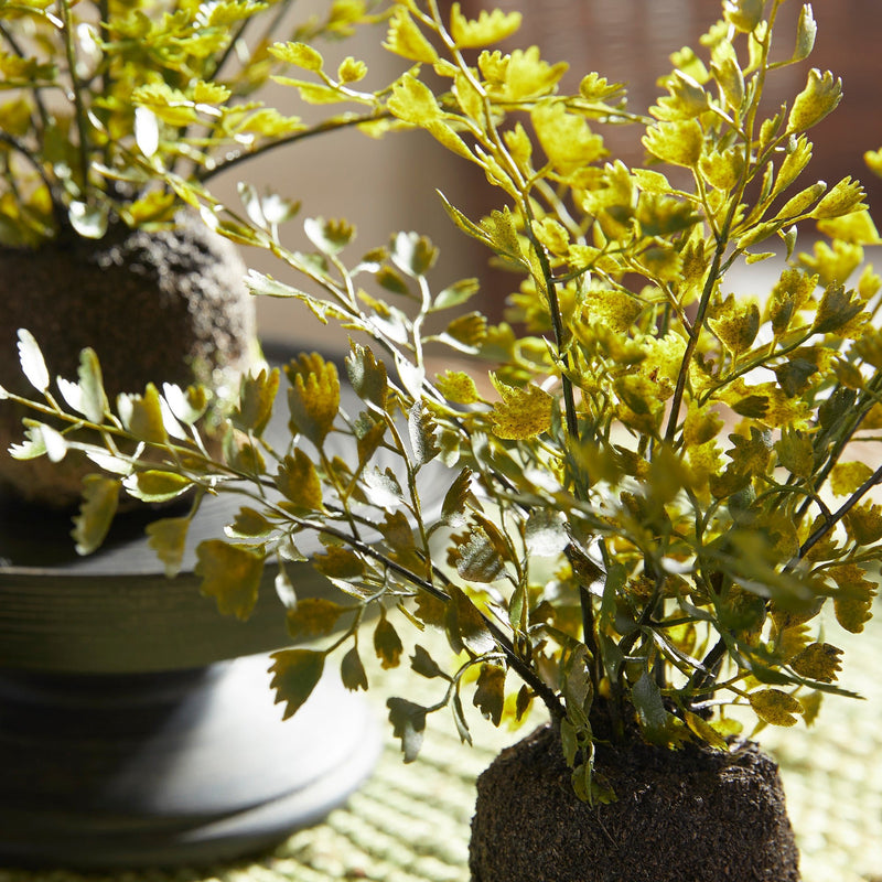 Artificial Maidenhair Drop - Ins, Set Of 3 - BlueJay Avenue