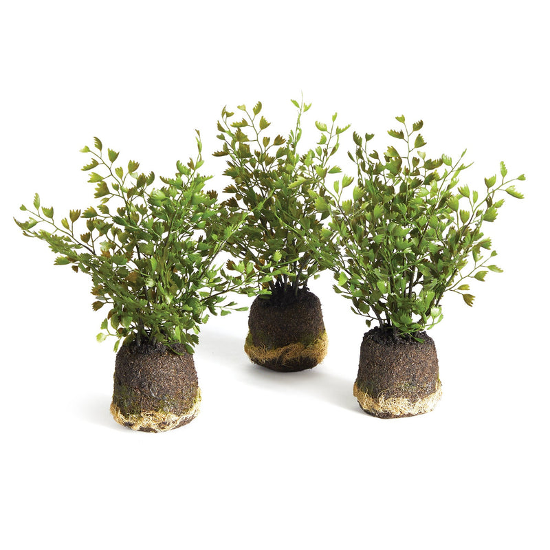 Artificial Maidenhair Drop - Ins, Set Of 3 - BlueJay Avenue