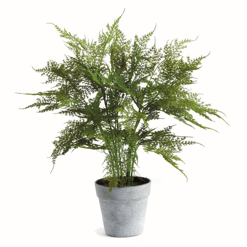 Artificial Plumosa Fern Drop - In 21" - BlueJay Avenue