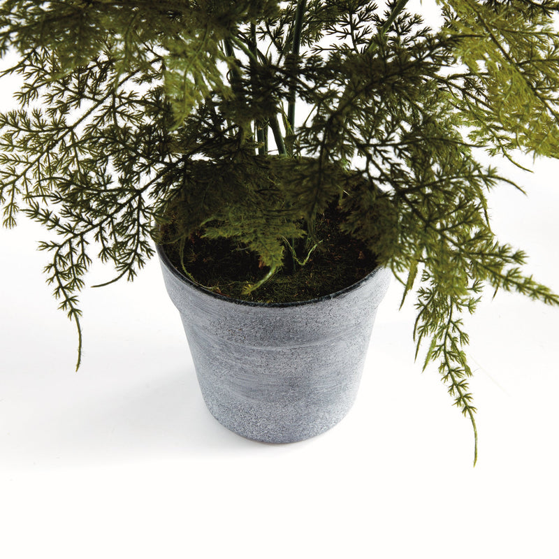 Artificial Plumosa Fern Drop - In 21" - BlueJay Avenue