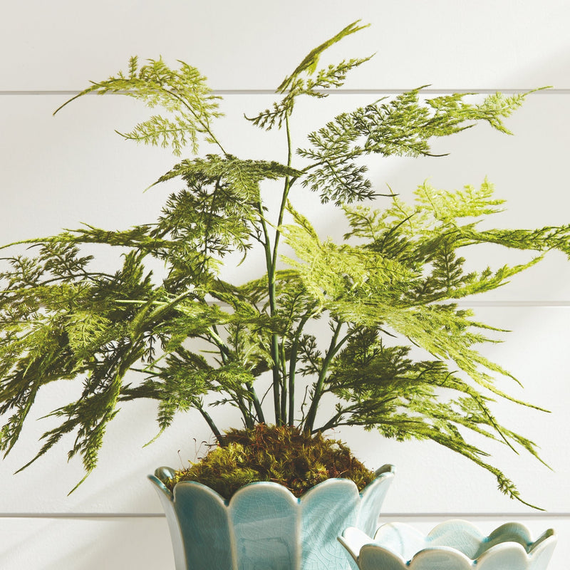 Artificial Plumosa Fern Drop - In 21" - BlueJay Avenue