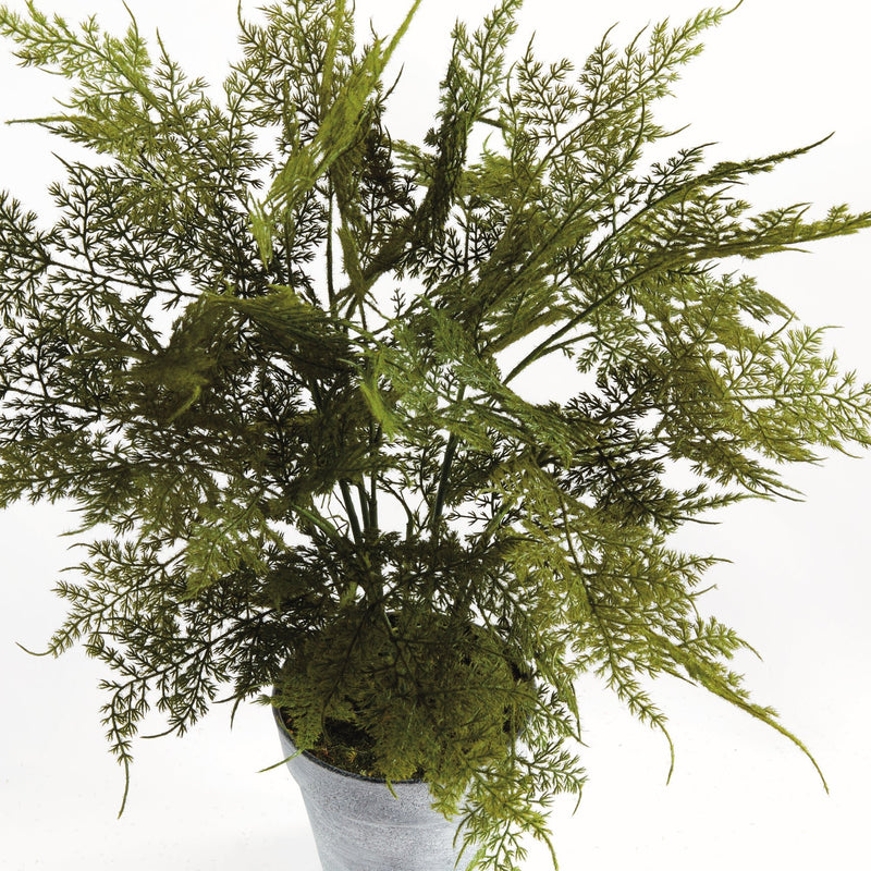 Artificial Plumosa Fern Drop - In 21" - BlueJay Avenue