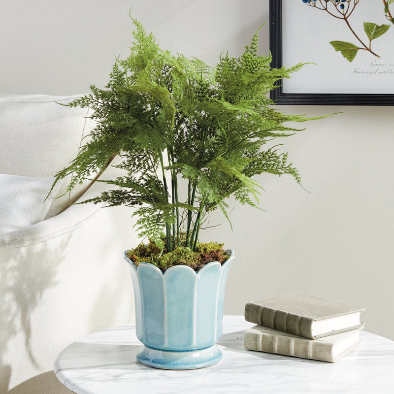 Artificial Plumosa Fern Drop - In 21" - BlueJay Avenue