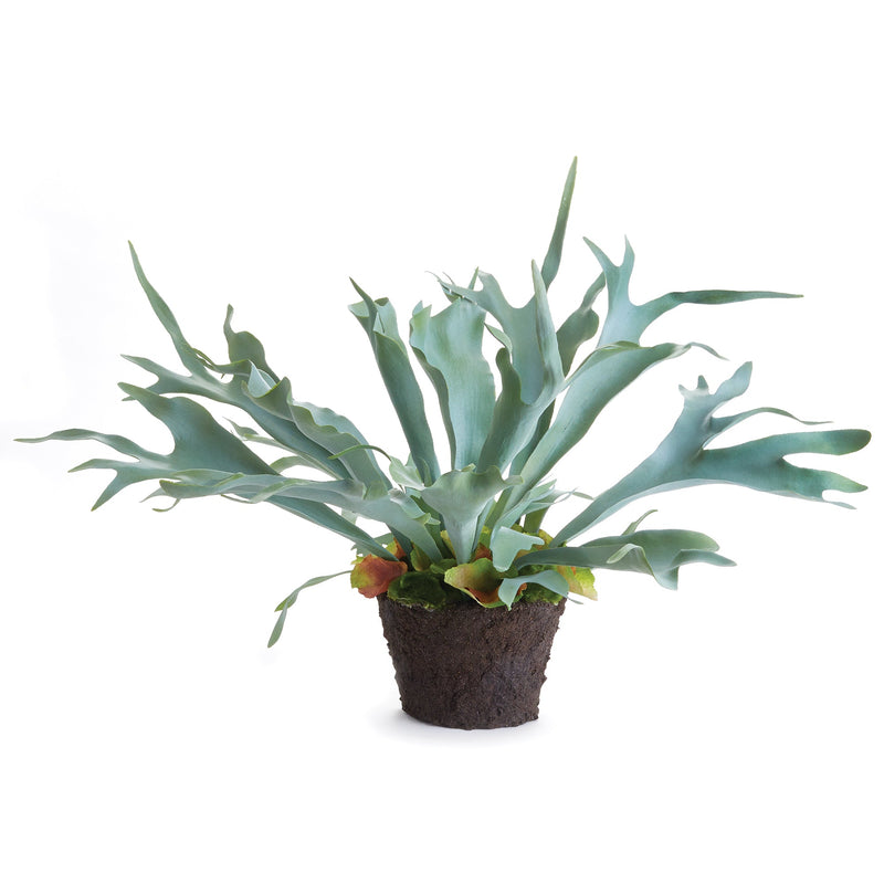 Artificial Staghorn Fern Plant Drop - In 21" - BlueJay Avenue