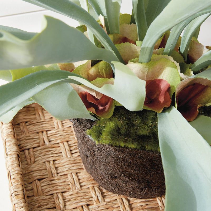 Artificial Staghorn Fern Plant Drop - In 21" - BlueJay Avenue