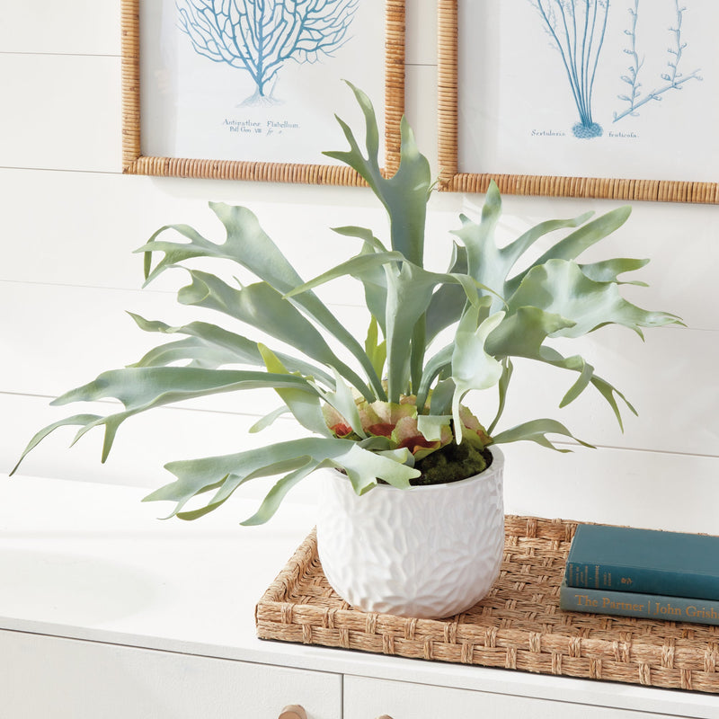 Artificial Staghorn Fern Plant Drop - In 21" - BlueJay Avenue