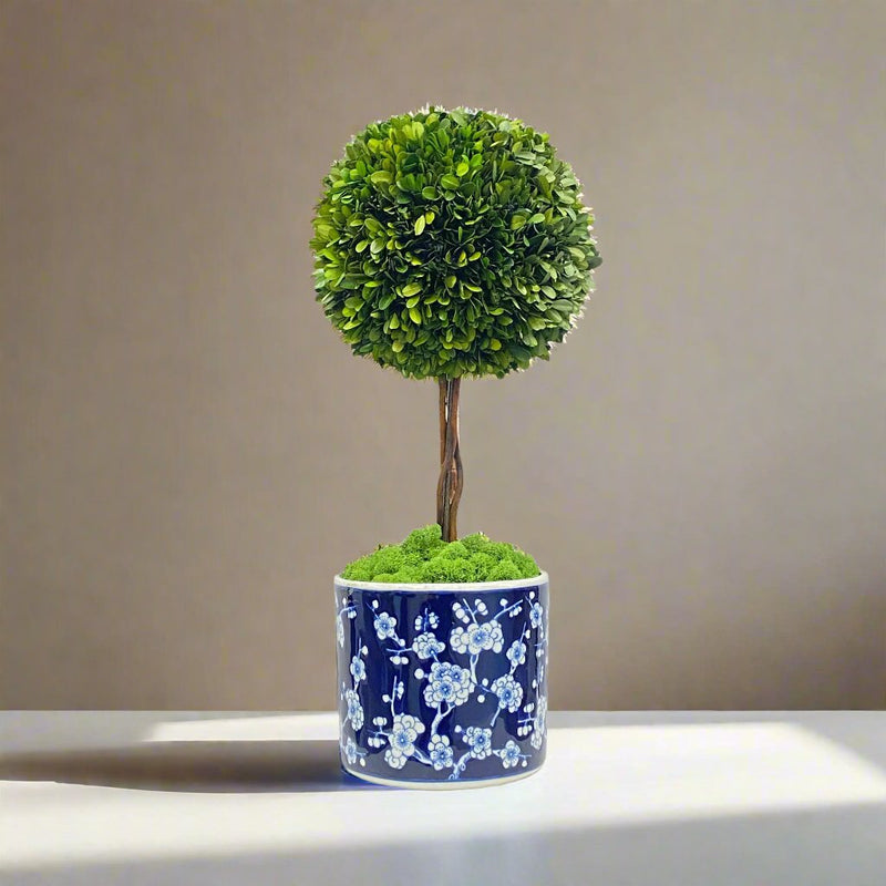 Boxwood Ball Topiary In Round Vase - BlueJay Avenue