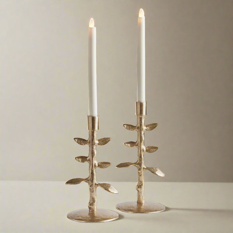 Brier Taper Candle Holders, Set Of 2 - BlueJay Avenue