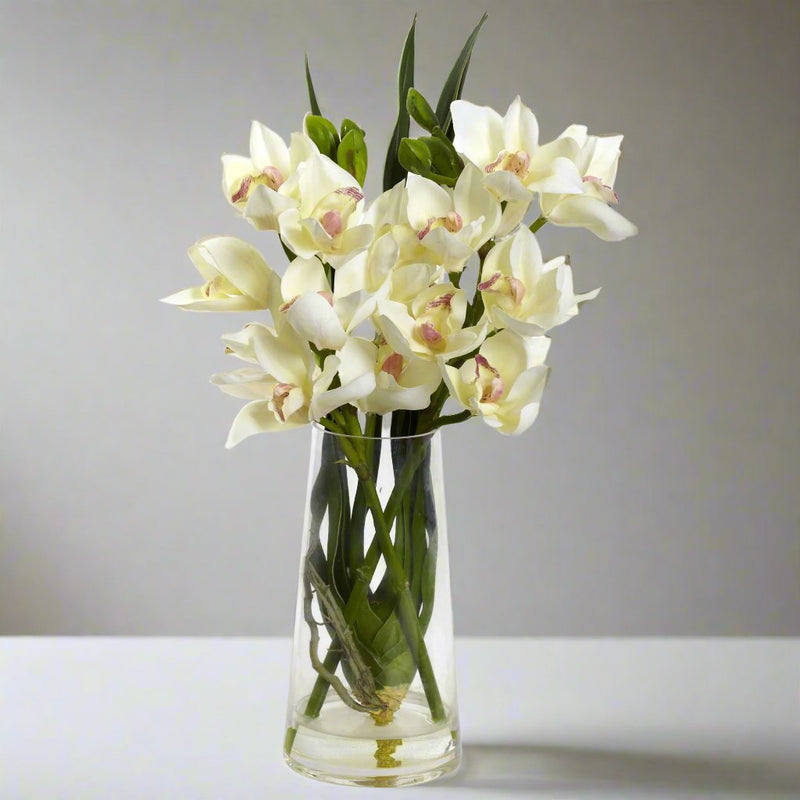 Cymbidium Orchid Arrangement - BlueJay Avenue