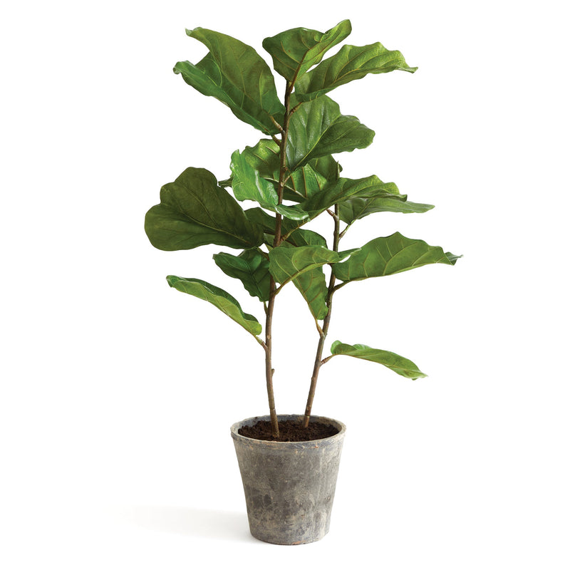 Fiddle Leaf Fig Potted Artificial Plant 43" - BlueJay Avenue