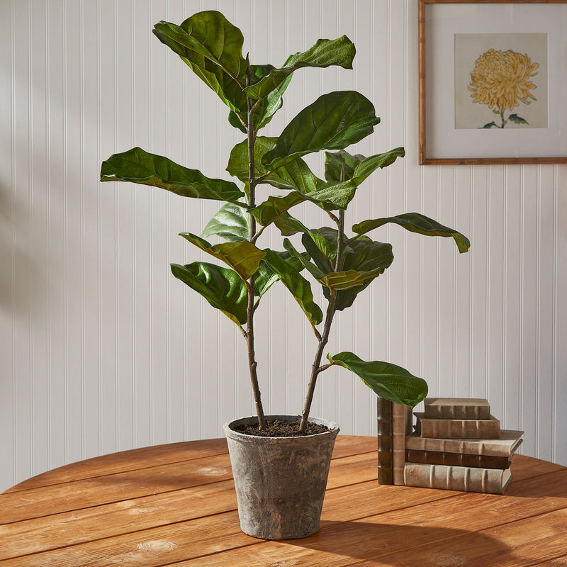 Fiddle Leaf Fig Potted Artificial Plant 43" - BlueJay Avenue