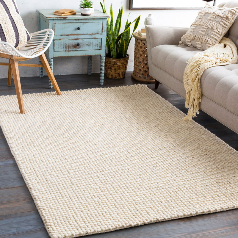 Lucerne Hand Woven Rug - BlueJay Avenue