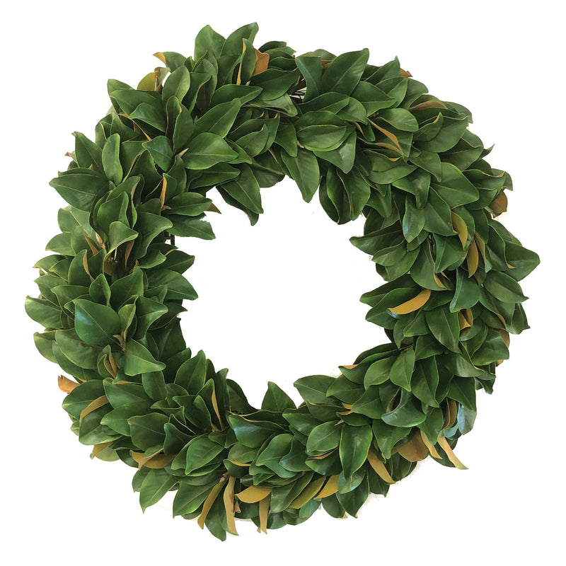 Magnolia Leaf 36'' Christmas Wreath - BlueJay Avenue