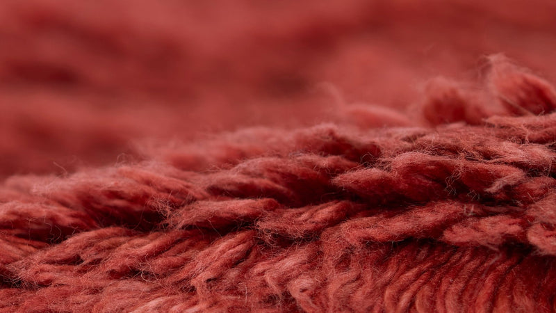 Neo Red Wool Shag Rug - BlueJay Avenue