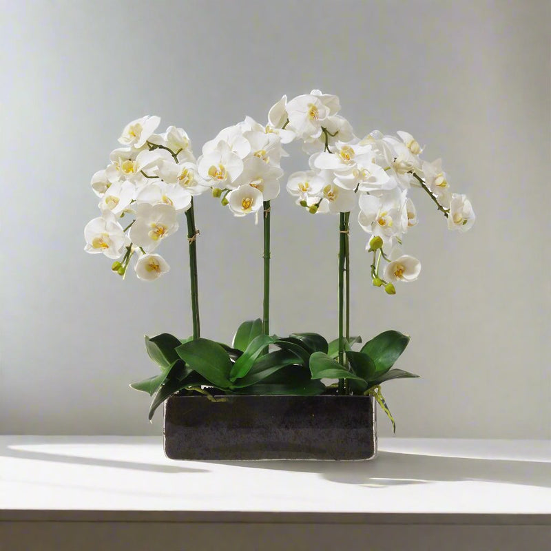 Orchid Phalaenopsis Artificial Flower In Glass 24 inch - BlueJay Avenue