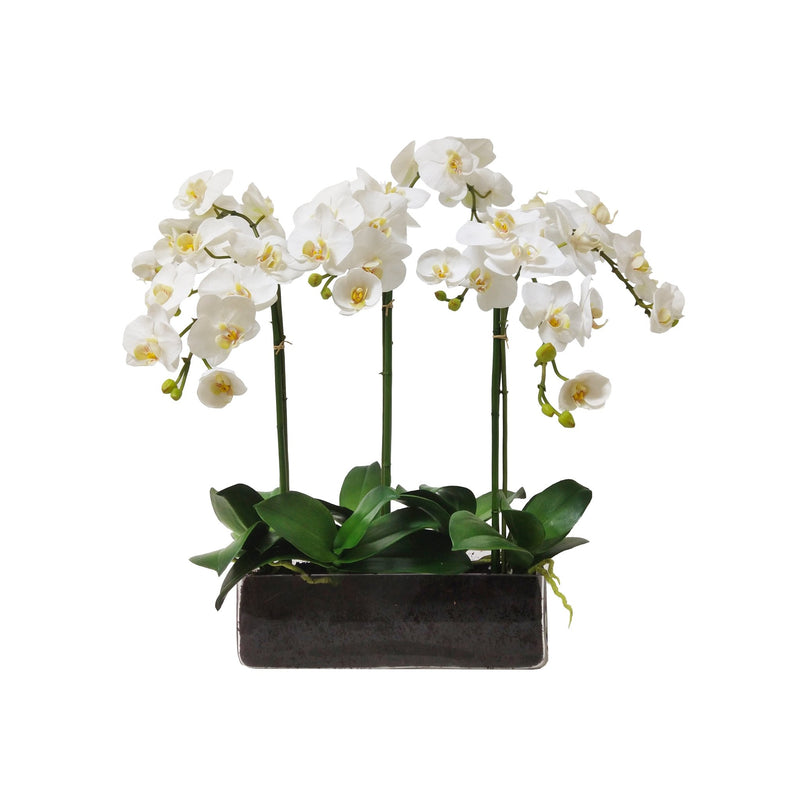 Orchid Phalaenopsis Artificial Flower In Glass 24 inch - BlueJay Avenue