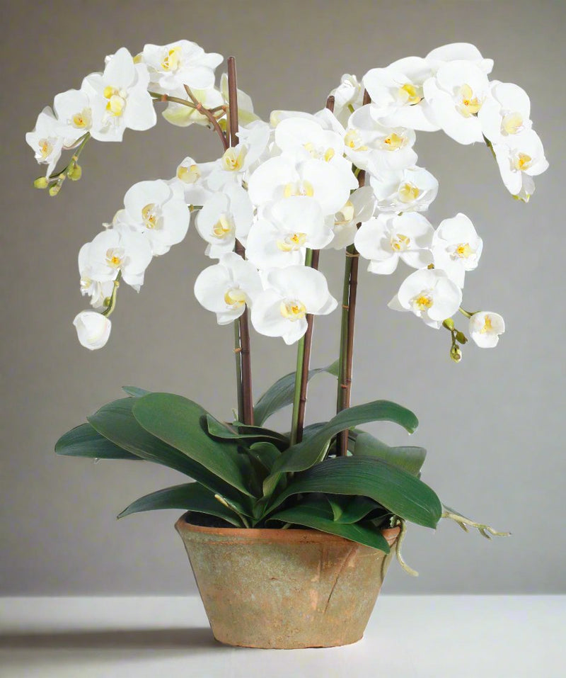 Phalaenopsis Faux Flower Potted Planter 24 inch - BlueJay Avenue