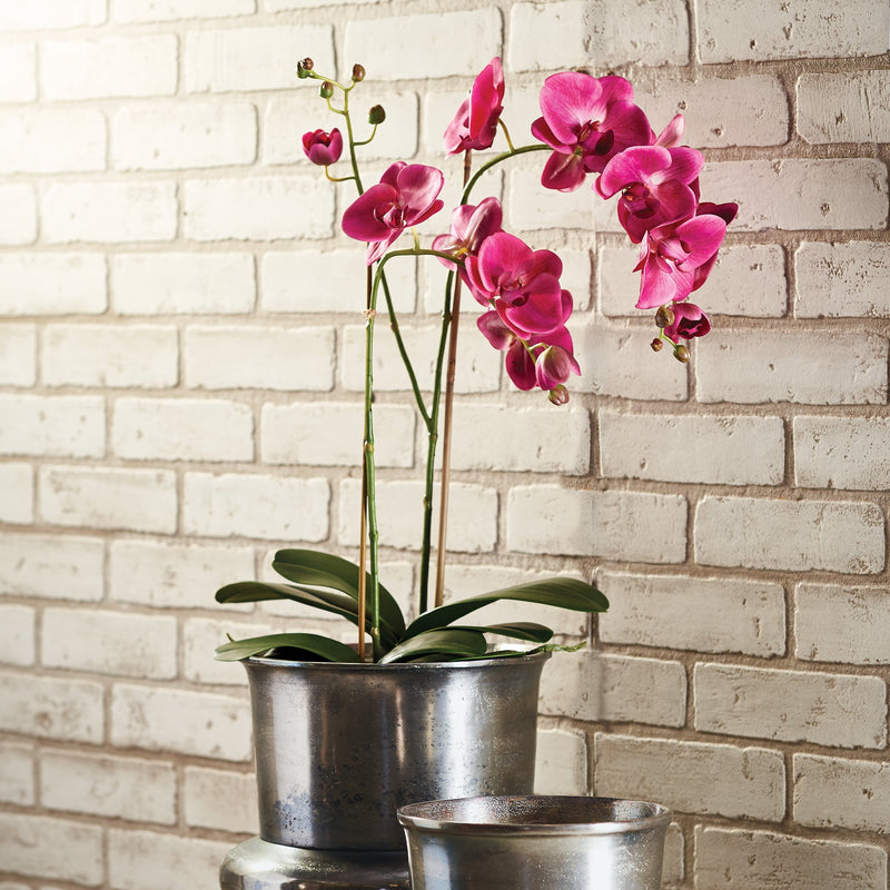 Phalaenopsis Fuchsia X 2 Drop - In 29" Faux Floral Arrangement - BlueJay Avenue