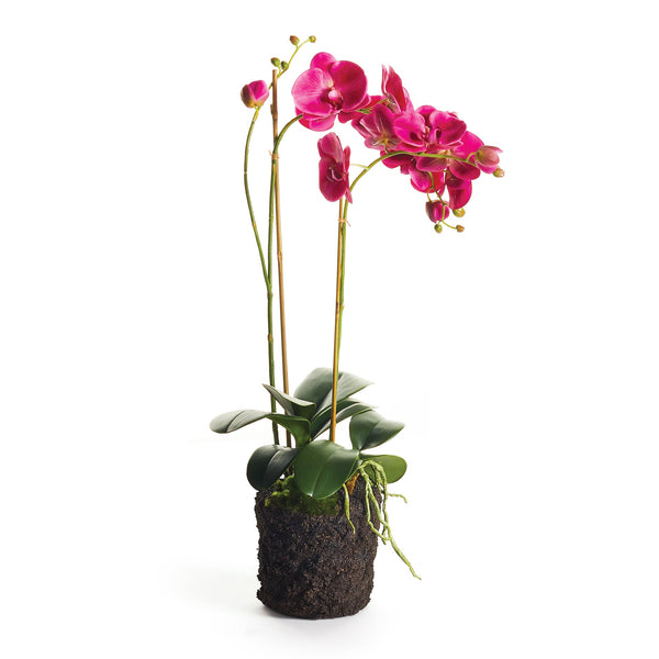 Phalaenopsis Fuchsia X 2 Drop - In 29" Faux Floral Arrangement - BlueJay Avenue