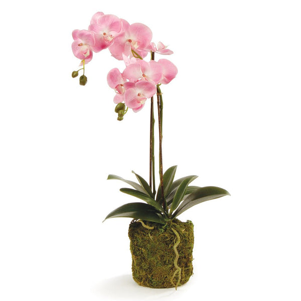 Phalaenopsis Pink Orchid Drop - In 23" Faux Floral - BlueJay Avenue