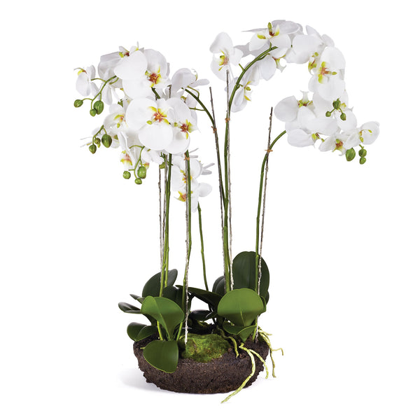 Phalaenopsis White Orchid Bowl Artificial Flower Drop - In 31.5" - BlueJay Avenue