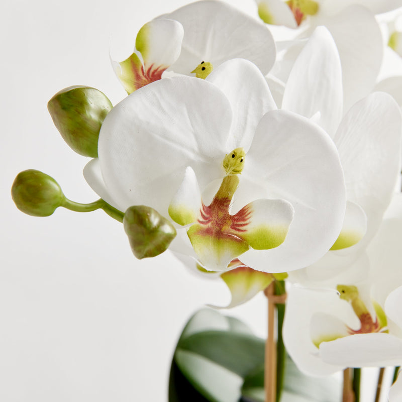 Phalaenopsis White Orchid Bowl Artificial Flower Drop - In 31.5" - BlueJay Avenue