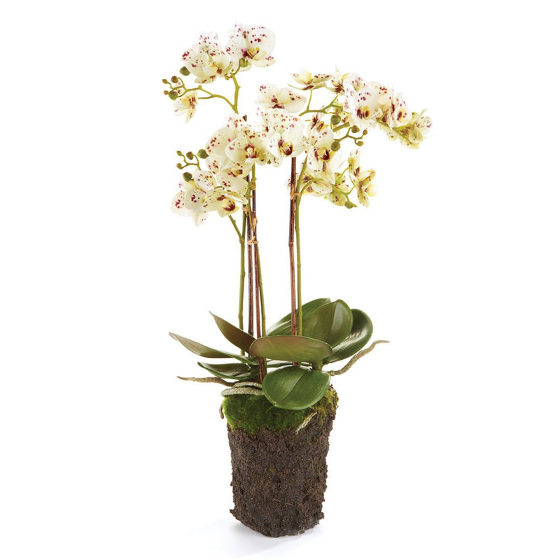 Phalaenopsis White Orchid Drop - In 20" Artificial Flower Arrangement - BlueJay Avenue