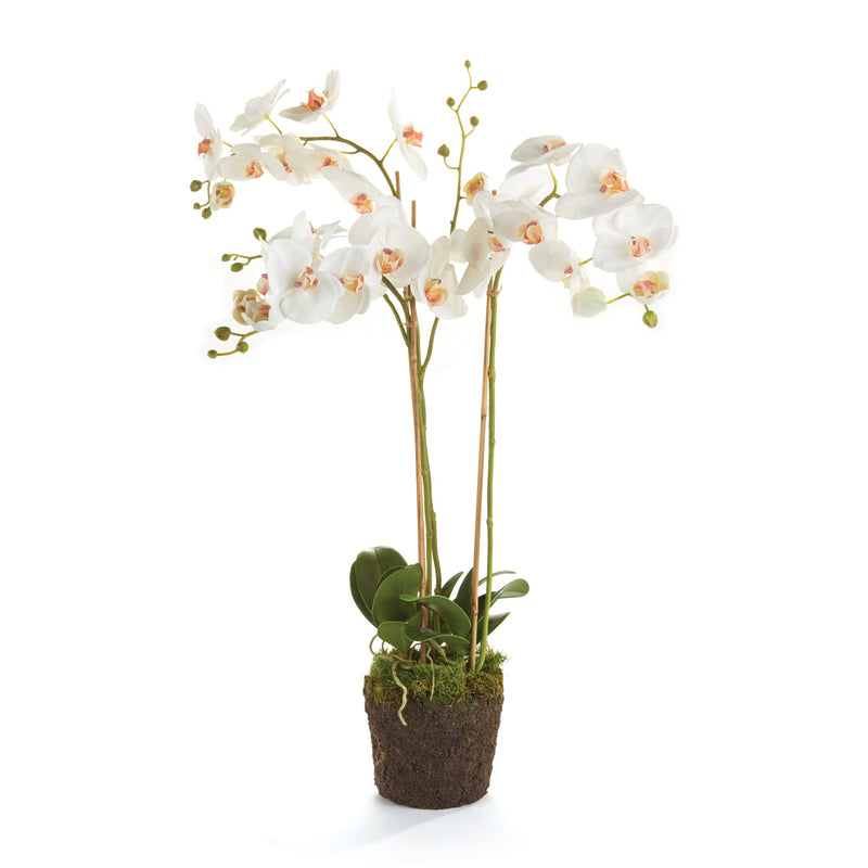 Phalaenopsis White Orchid Drop - In 31" Faux Flower Arrangement - BlueJay Avenue