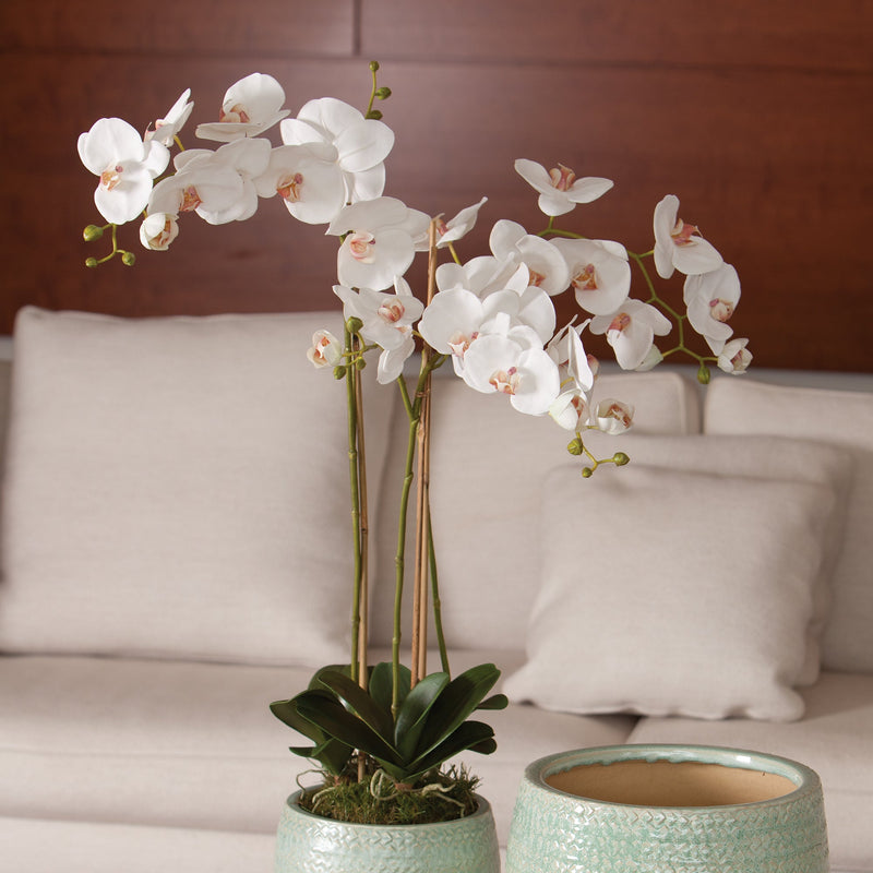 Phalaenopsis White Orchid Drop - In 31" Faux Flower Arrangement - BlueJay Avenue