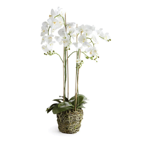 Phalaenopsis White Orchid Drop - In 44" Faux Flower - BlueJay Avenue