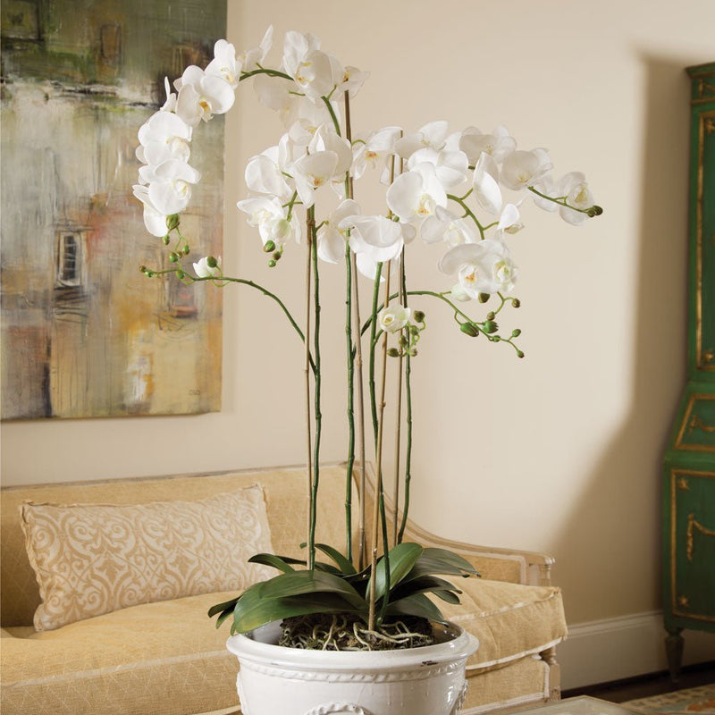 Phalaenopsis White Orchid Drop - In 44" Faux Flower - BlueJay Avenue