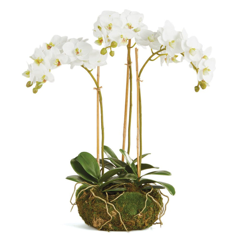 Phalaenopsis White Orchid Mini Garden Drop - In 16" Artificial Flower - BlueJay Avenue