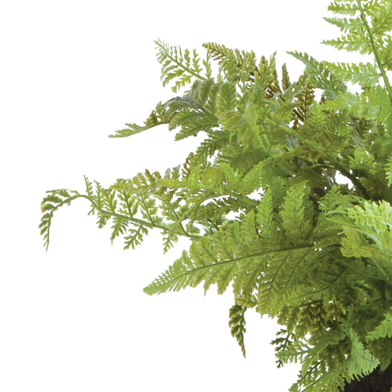 Soft Artificial Fern Drop - In 10.5" - BlueJay Avenue