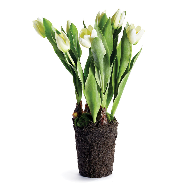 White Tulip Artificial Flower Drop - In 22" - BlueJay Avenue