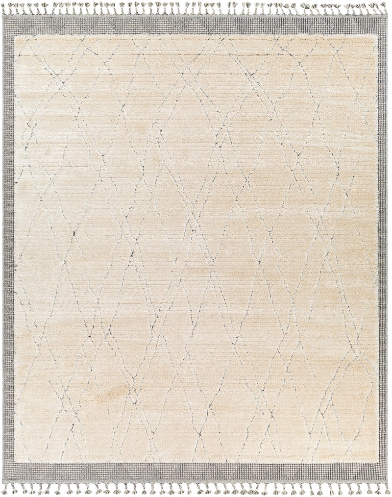 Sousse Contemporary Beige Rug - BlueJay Avenue